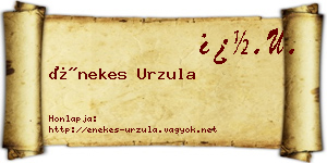 Énekes Urzula névjegykártya